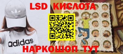 гидропоника Пенза