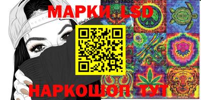 гидропоника Пенза