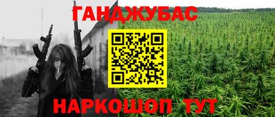 гидропоника Пенза