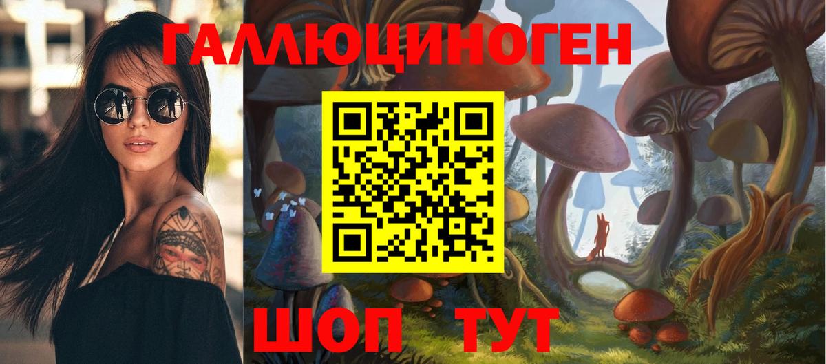 Славгород  Галлюциногенные грибы мицелий  Вход с VPN 