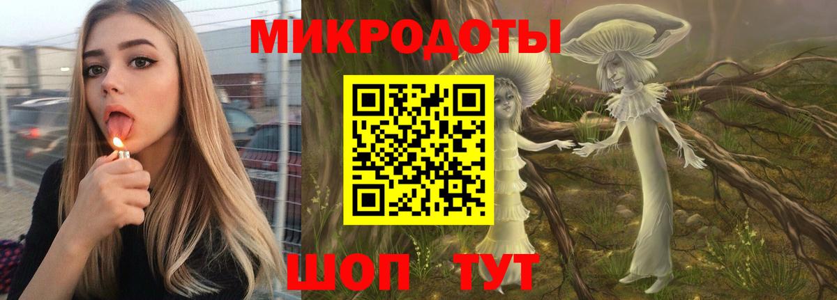 Галлюциногенные грибы прущие грибы Славгород